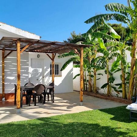 Apartamento Privado Con Jardin, Piscina Elevada Y Bbq Chiclana de la Frontera Dış mekan fotoğraf
