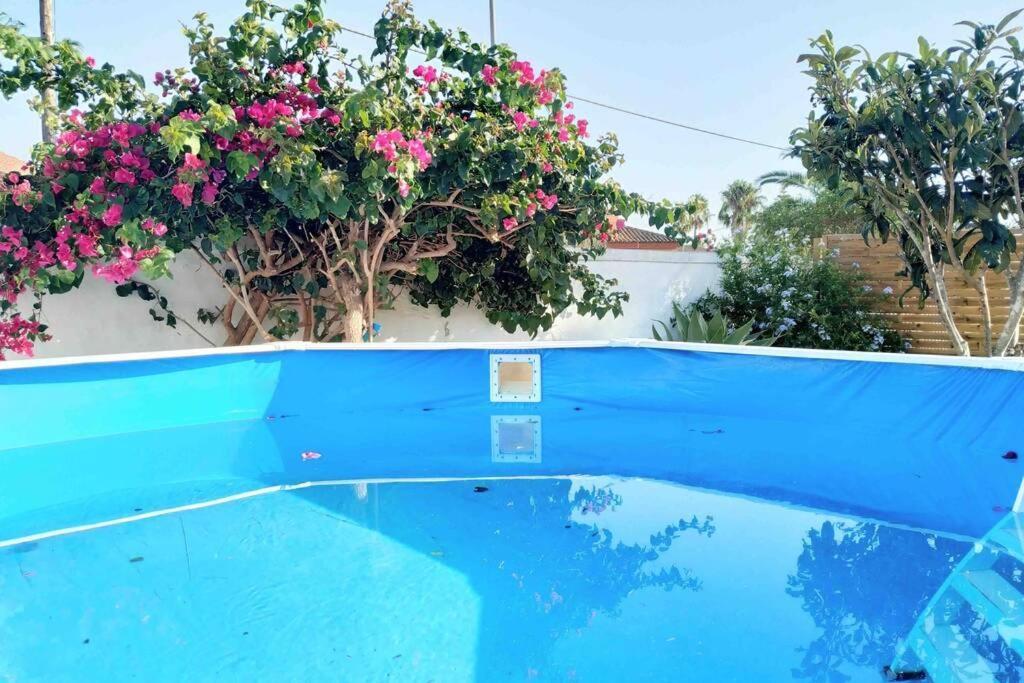 Apartamento Privado Con Jardin, Piscina Elevada Y Bbq Chiclana de la Frontera Dış mekan fotoğraf